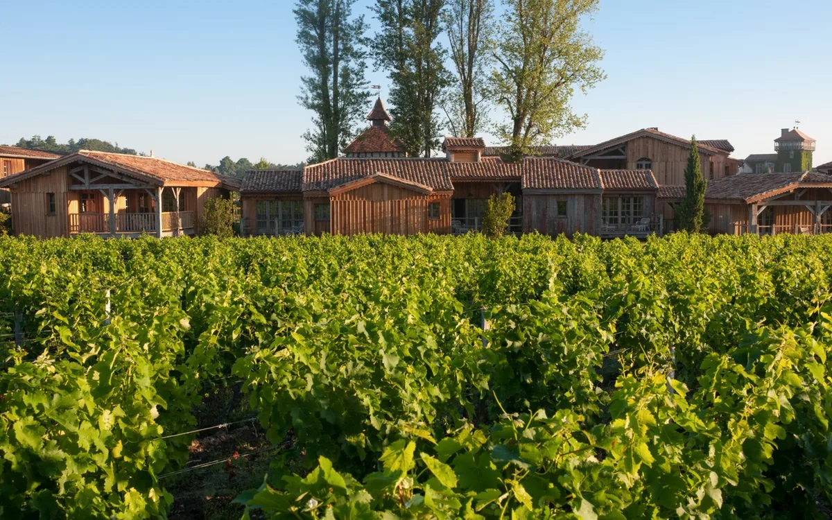 Vineyards in front of Les Sources de Caudalie near Bordeaux
