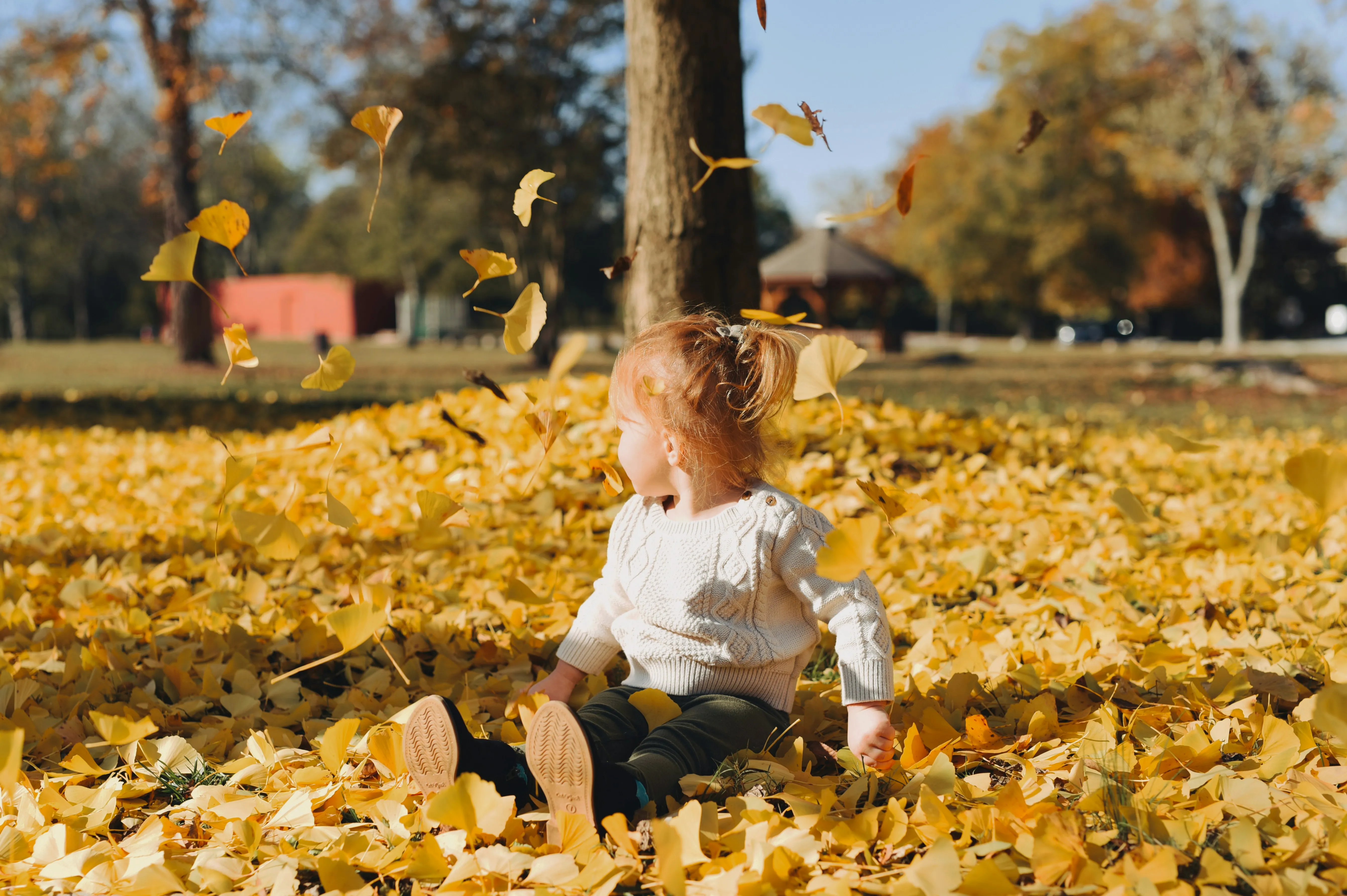 🍂 Fun Days Out with Babies & Toddlers This October Half Term