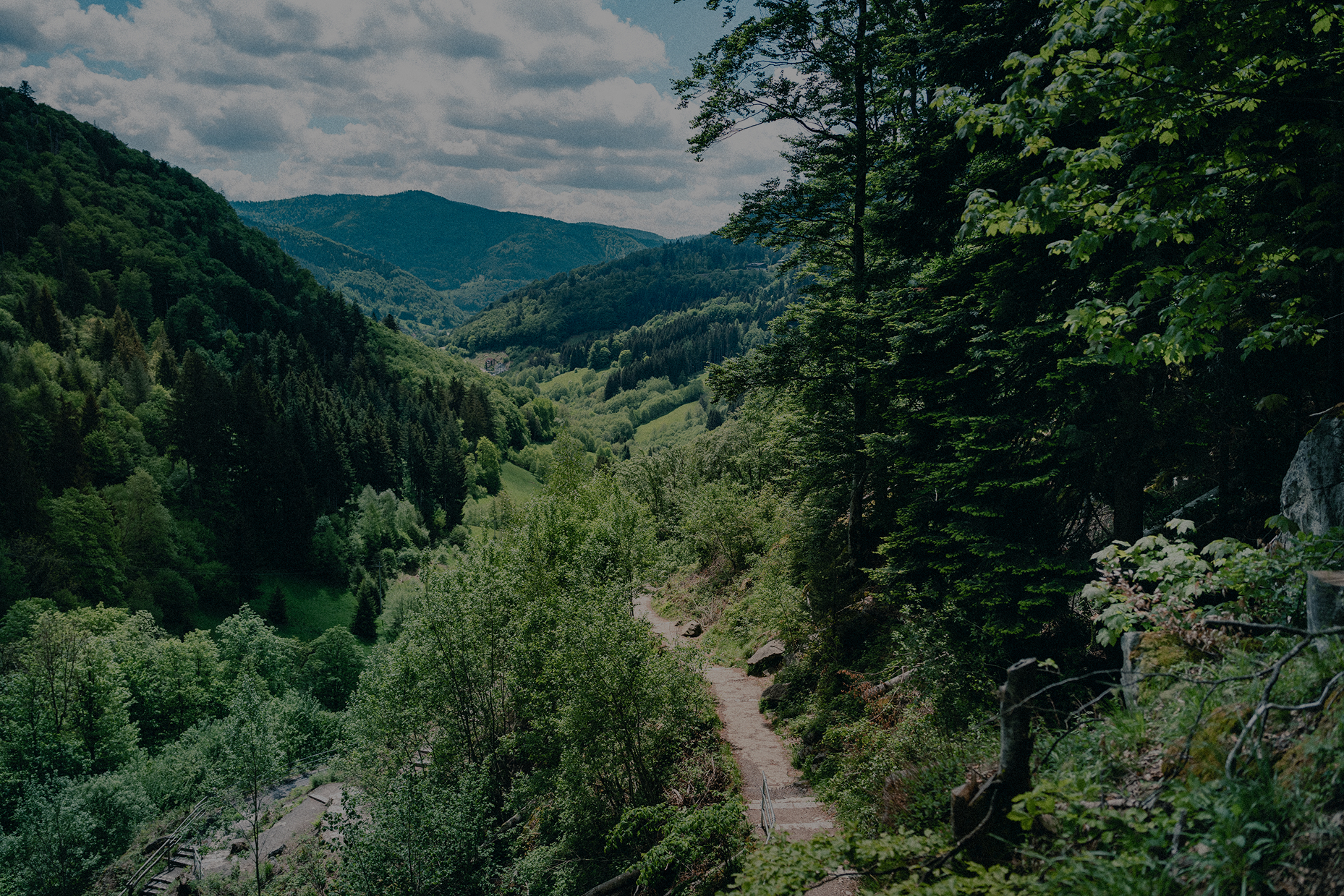 Ein schmaler Wanderweg führt durch eine Hügellandschaft mit grünen Büschen und Wäldern.