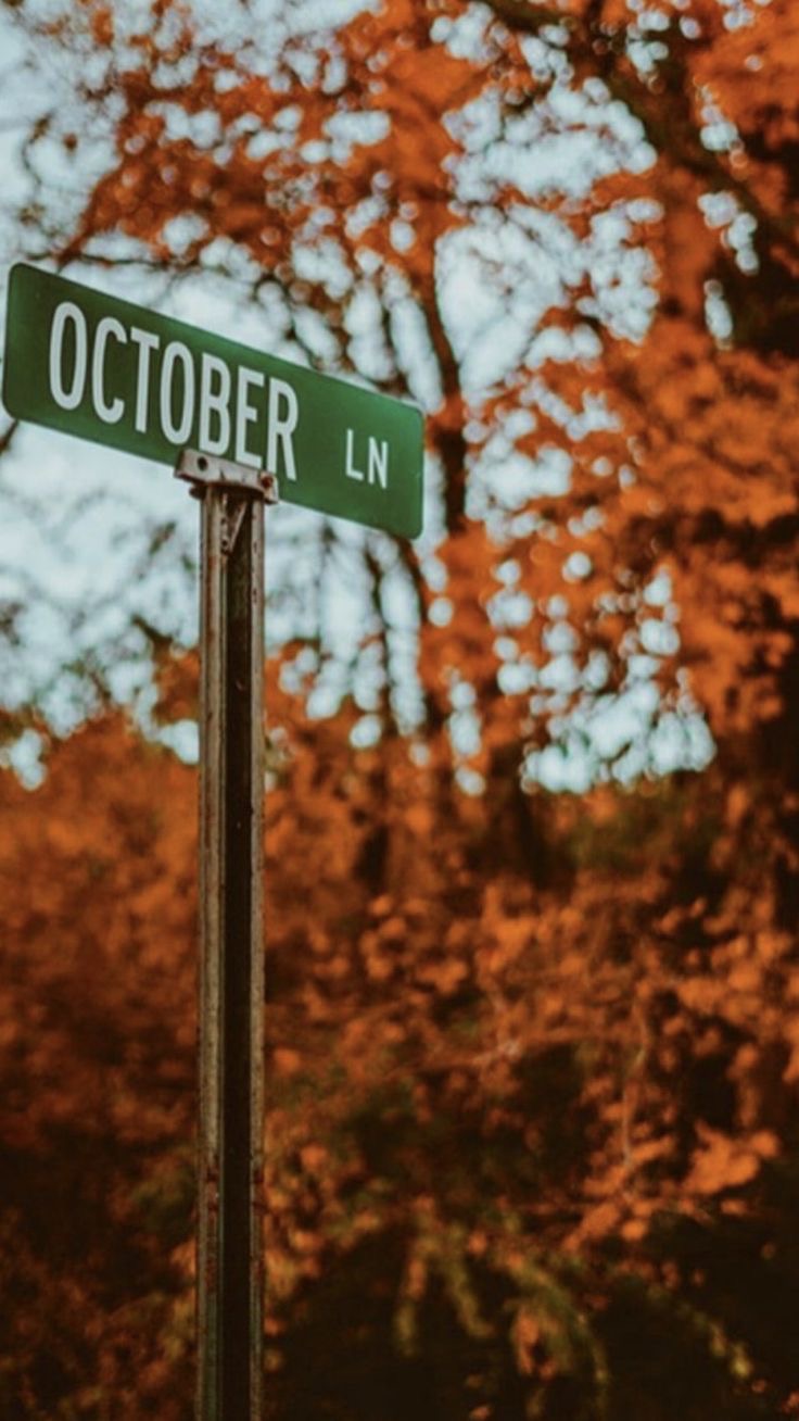 Stepping Into October with Intention 