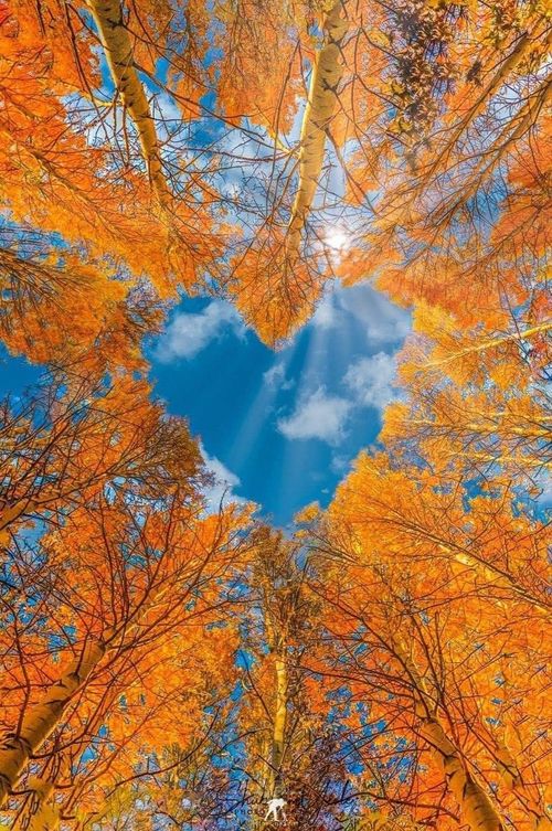 Turning Towards: How Small Moments Have Lasting Relational Impacts