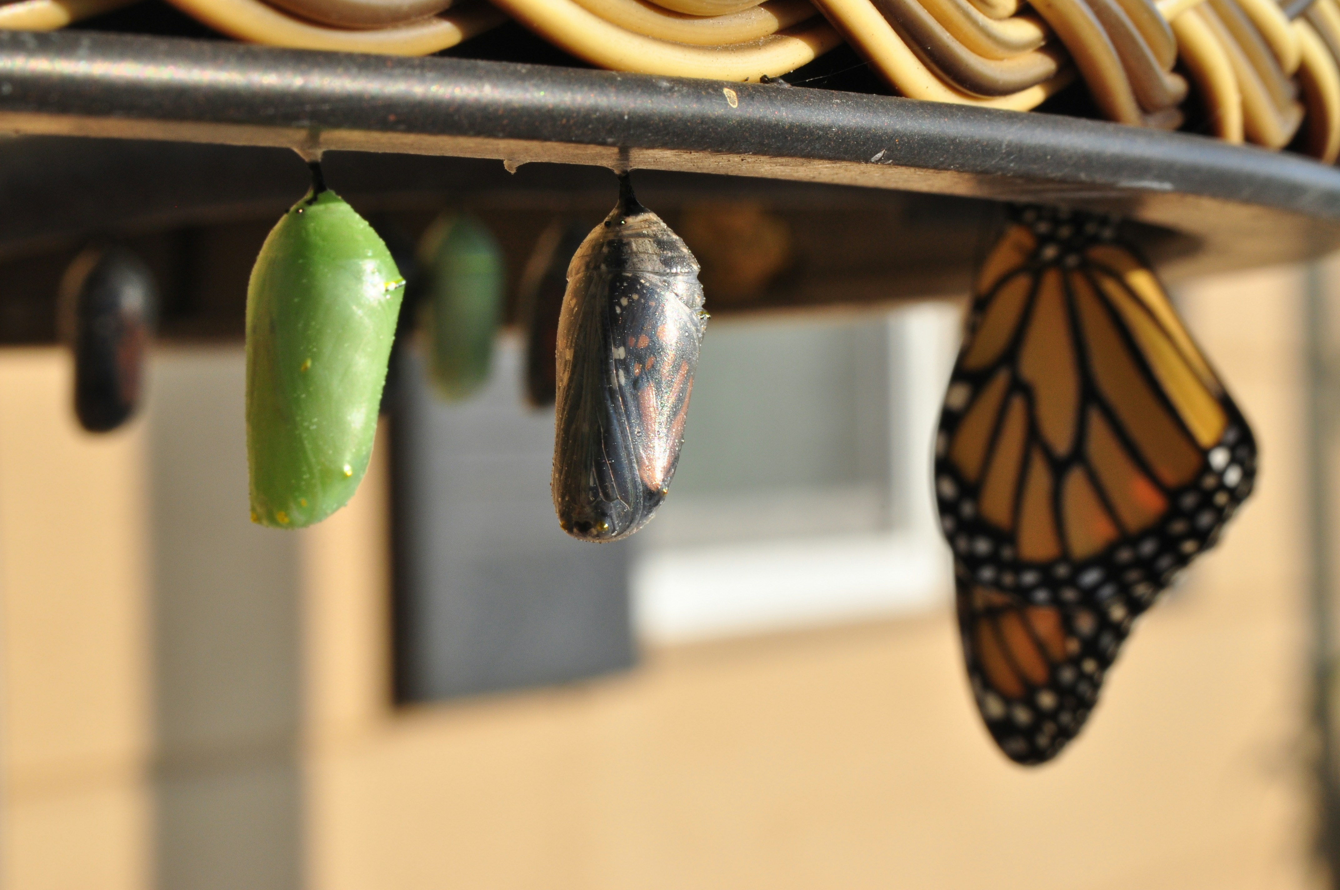Navigating life transitions at work, in school, and in your relationships — and finding your footing when the ground shifts beneath you.