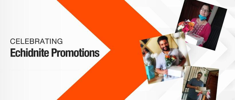 Echidna promotions in Q1