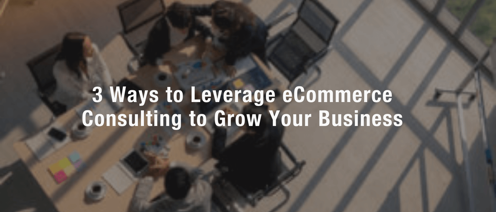 ecommerce consulting