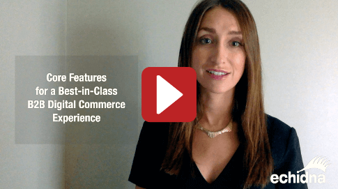 b2b digital commerce