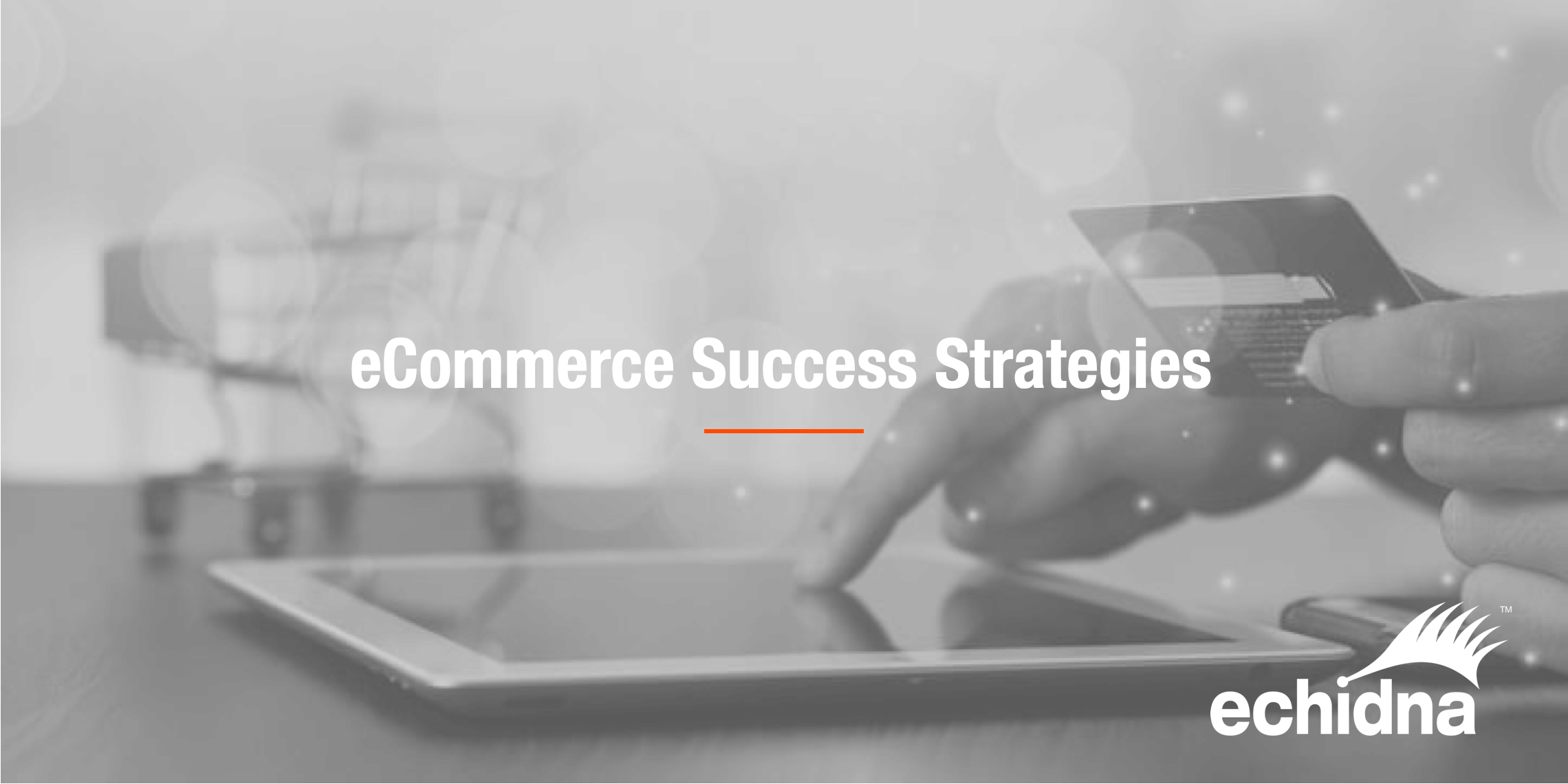eCommerce success Strategies.jpg