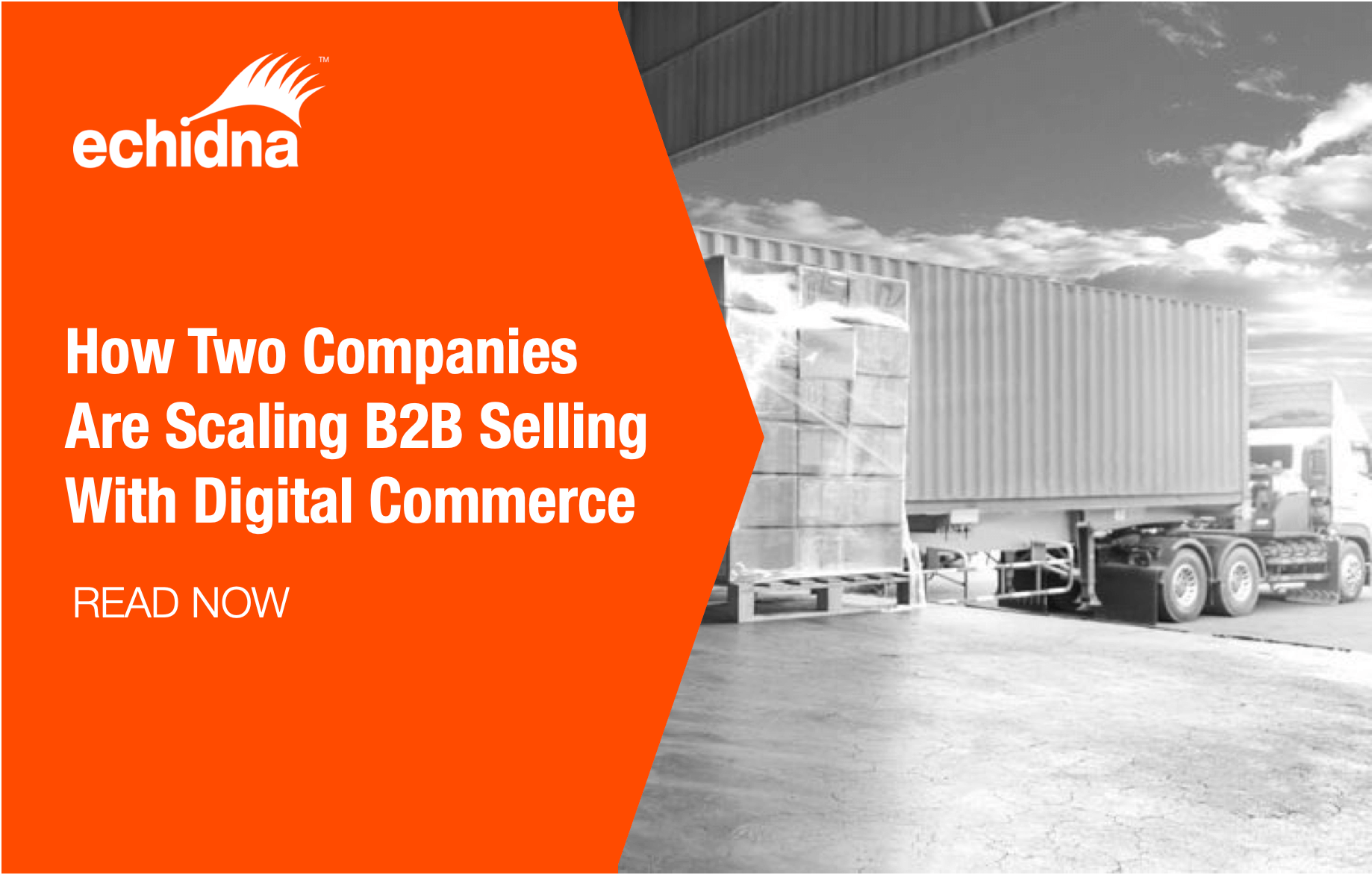 b2b ecommerce growth.jpg