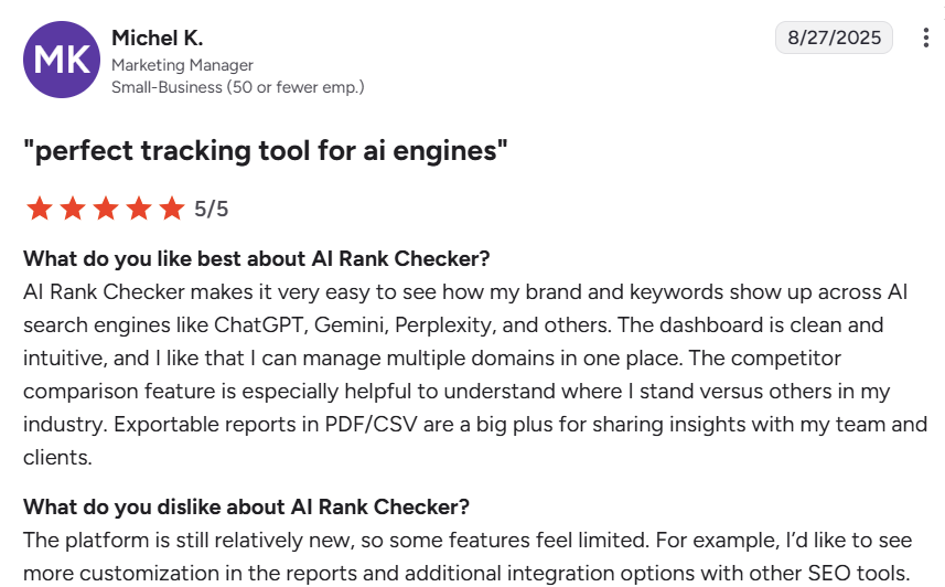 AI Rank Checker review