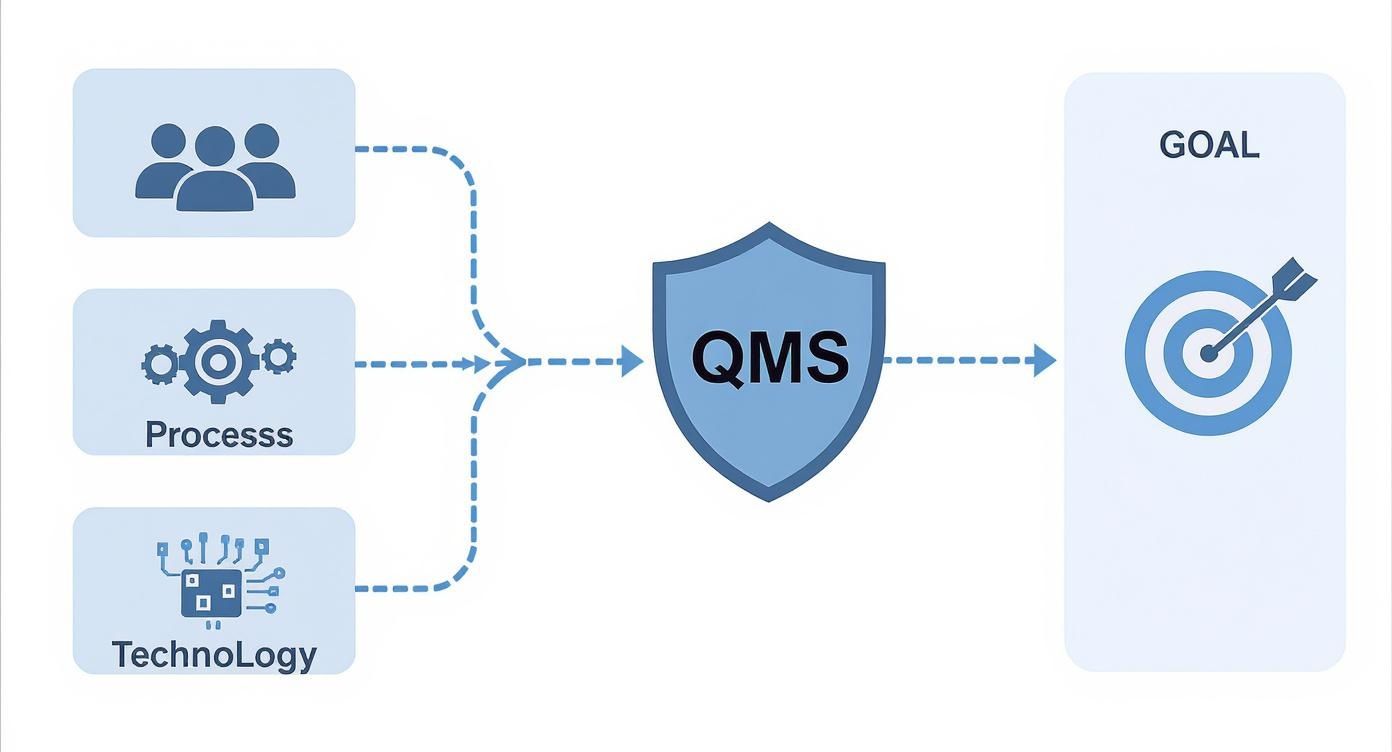 Diagram showing People, Process, and Technology as inputs feeding into a QMS to achieve a Goal.