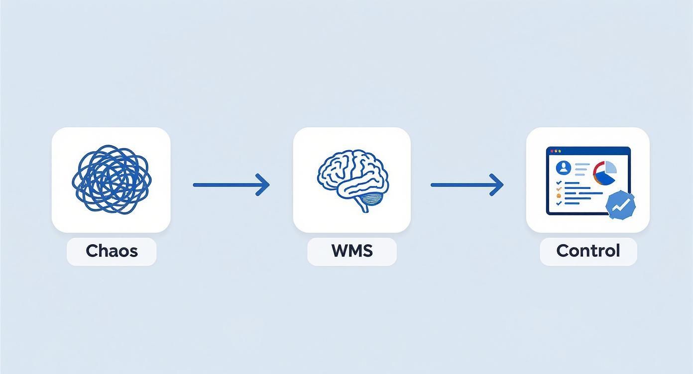 A diagram illustrating the transformation from 'Chaos' (tangled lines) through a 'WMS' (brain icon) to 'Control' (organized dashboard).