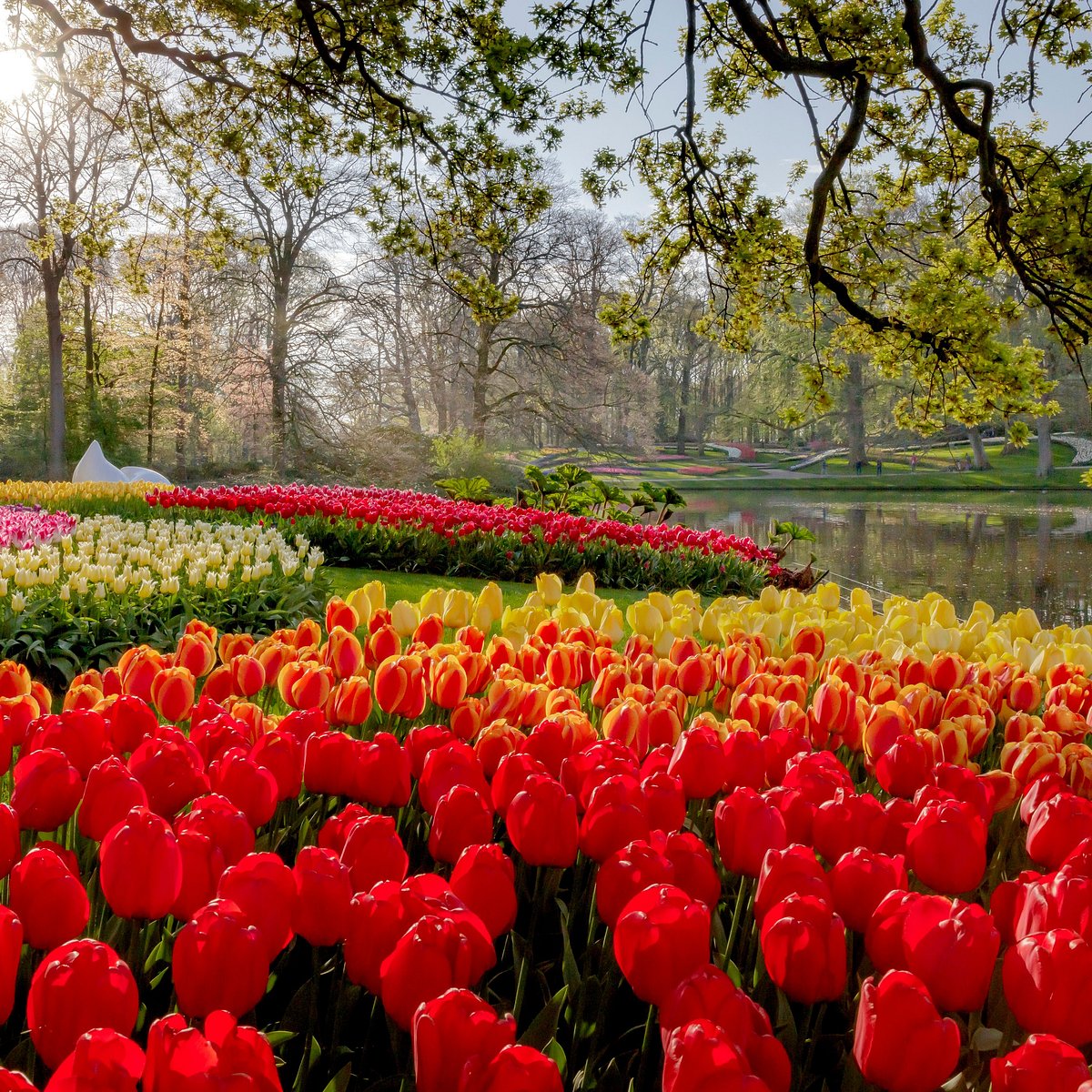 Keukenhof
