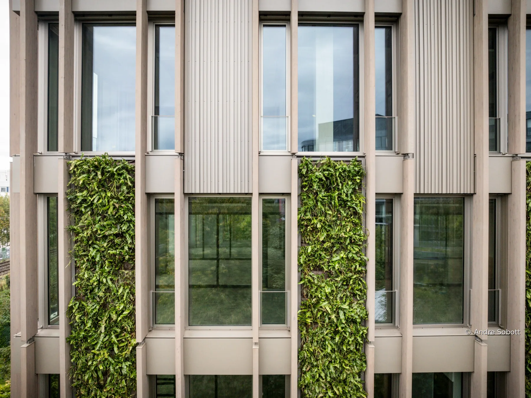 Fenster von Freisinger Fenster