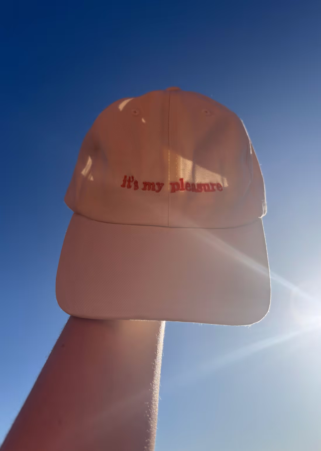 heyyoli it’s my pleasure cap blue sky