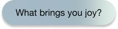 A text message asking what brings you joy.