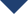 triangle icon
