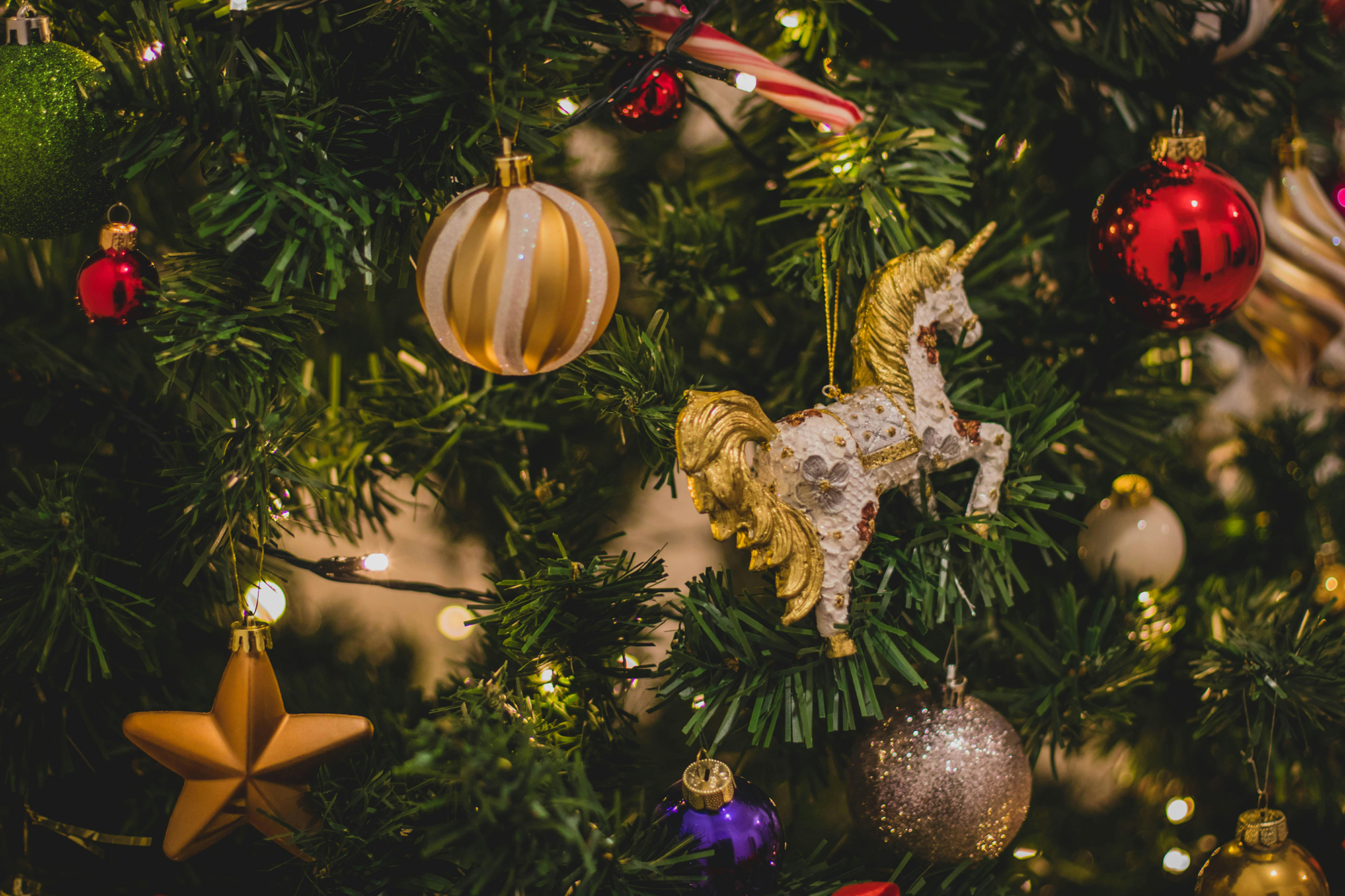 Family Time Capsules: How to Build a Living Archive Your Family Can Return To