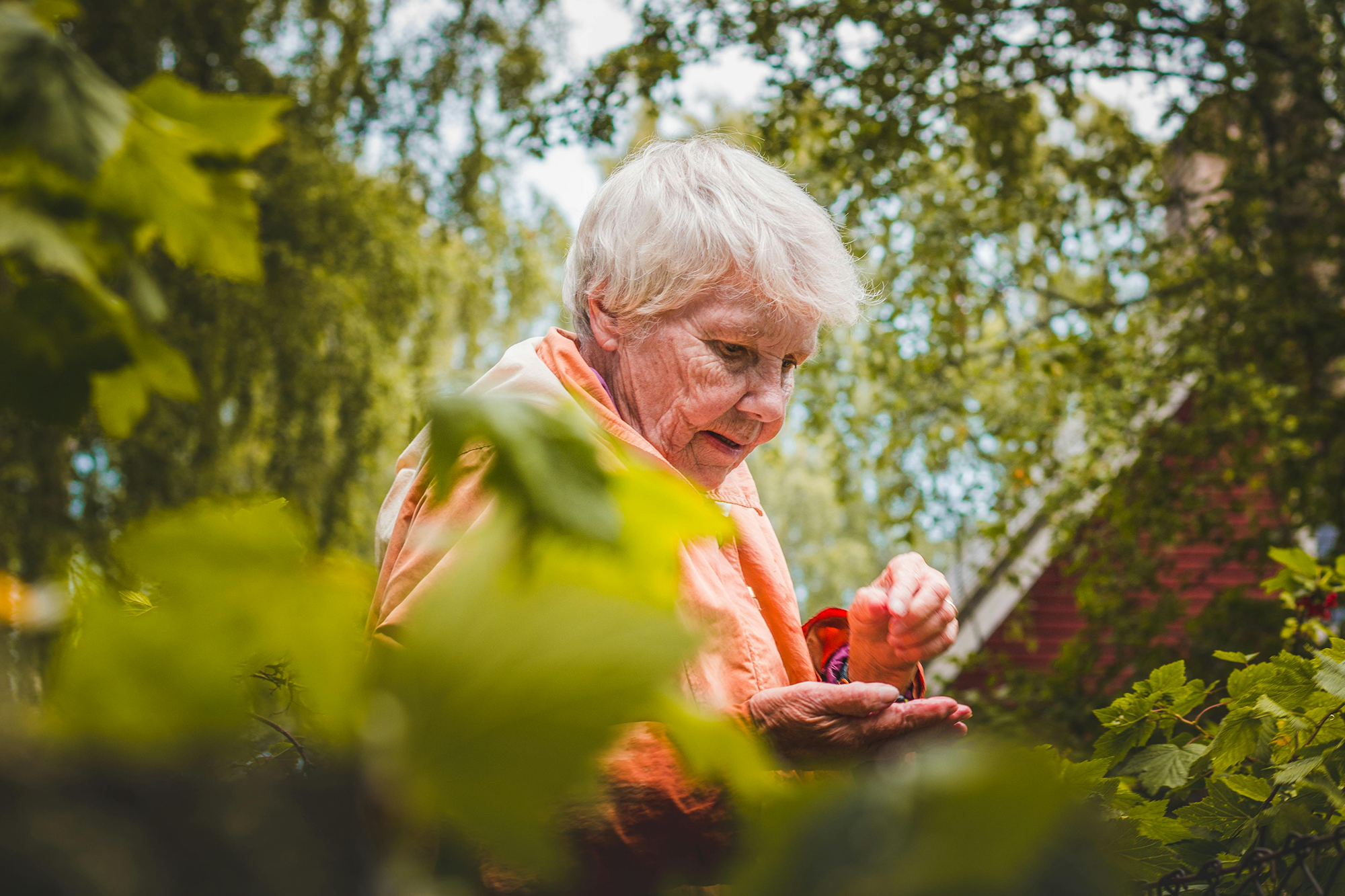 How to Securely Store and Share Your Family's Most Important Stories