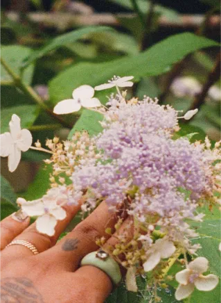 What is end-of-life care, and how does KINNECT improve communication?