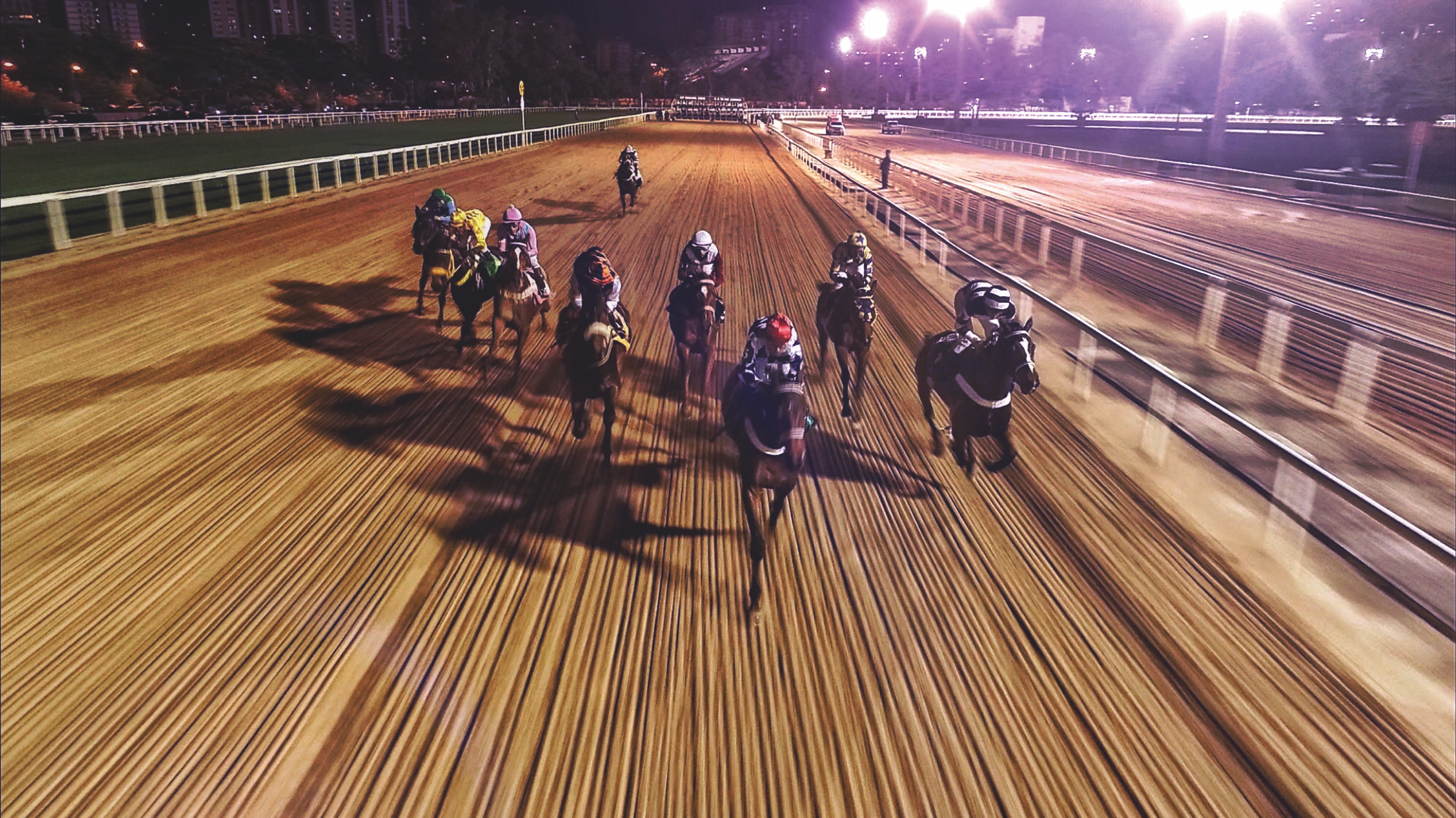 Jockeys racing horses on a turf racecourse