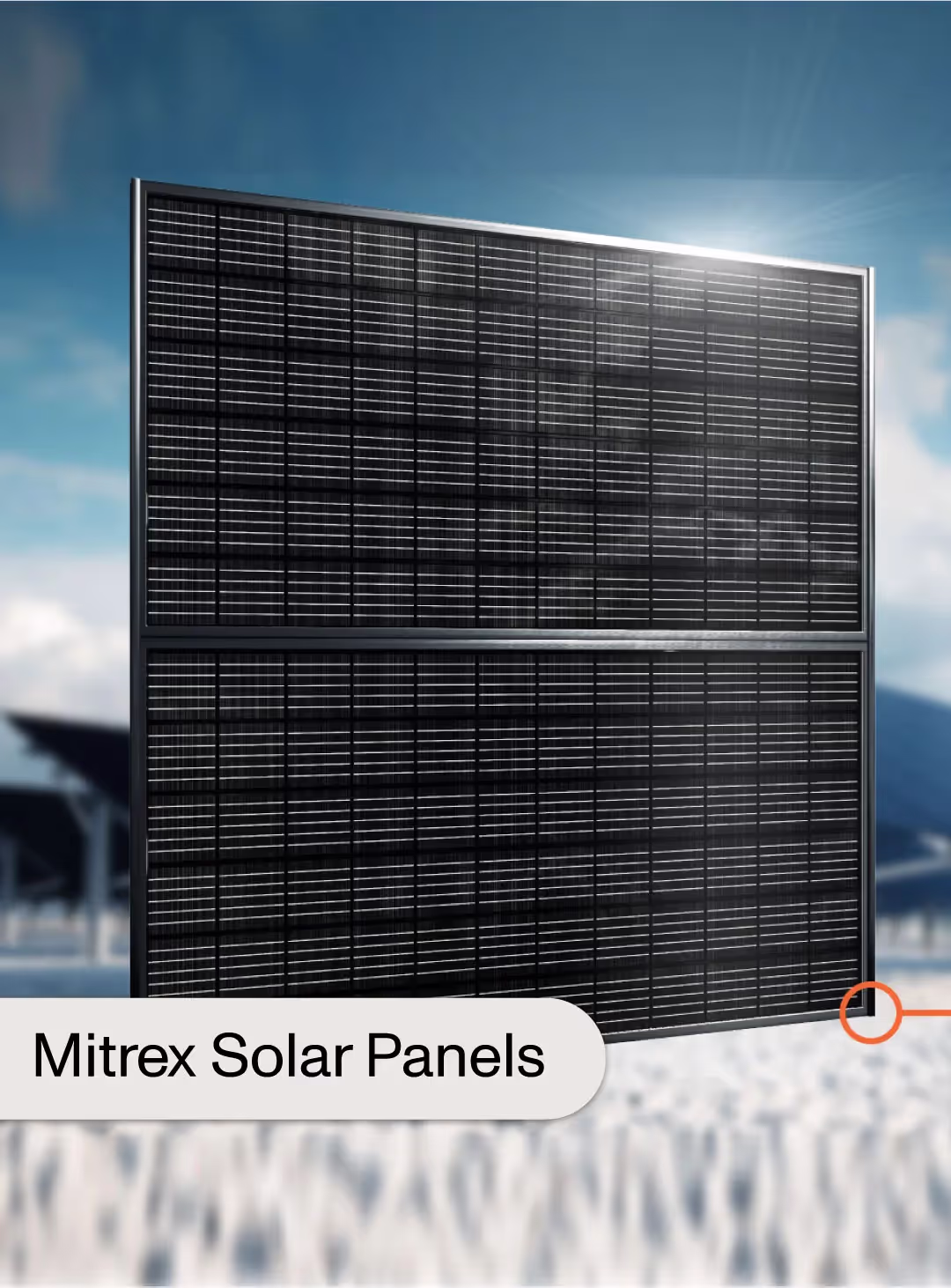 Mitrex Released Largest 800W Solar Panel