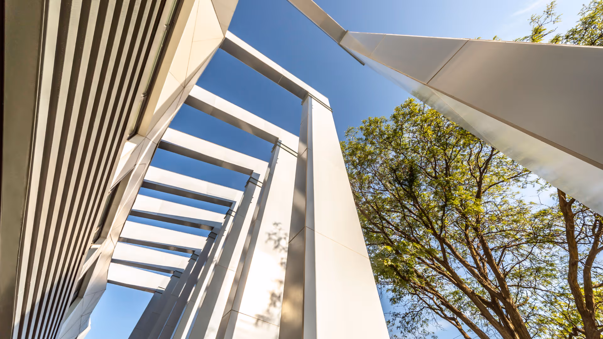 The Art of Solar: Unlocking Creative Potential with Mitrex’s Customizable Panels