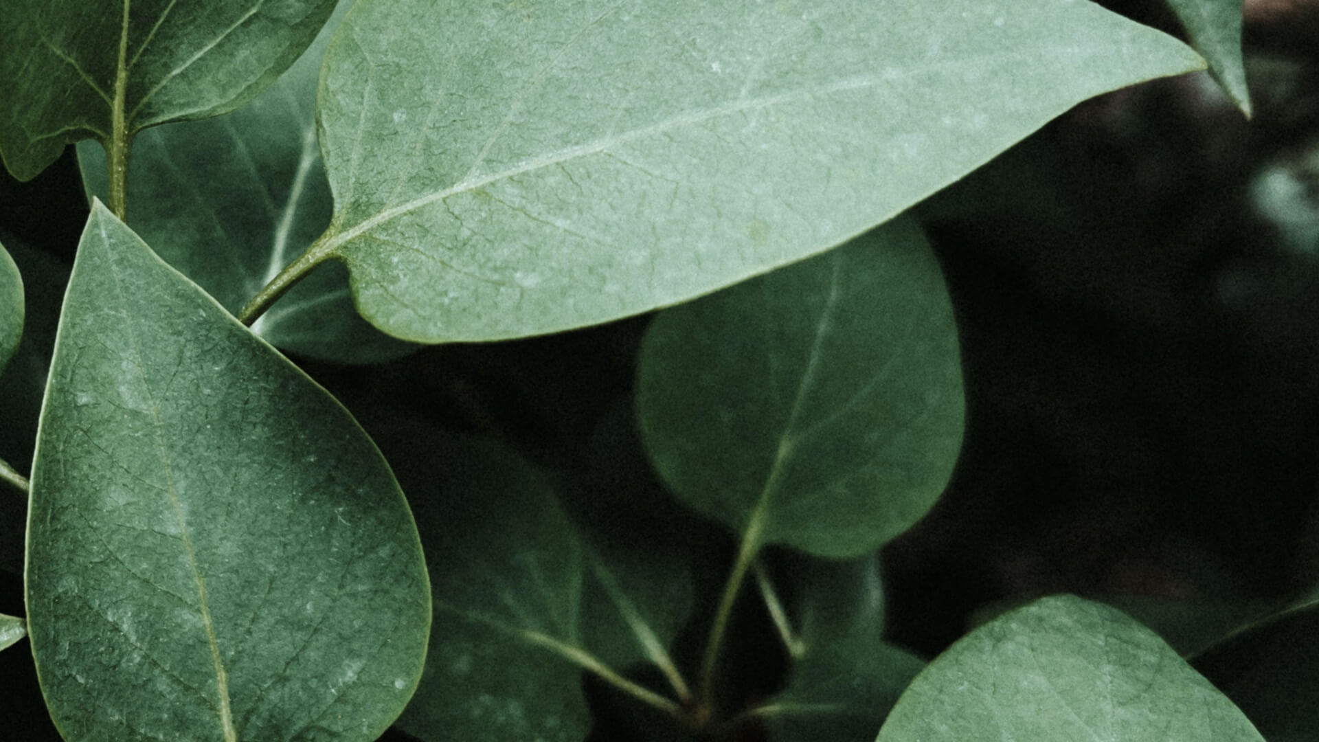 The Worst Advice We've Ever Heard About Web Design