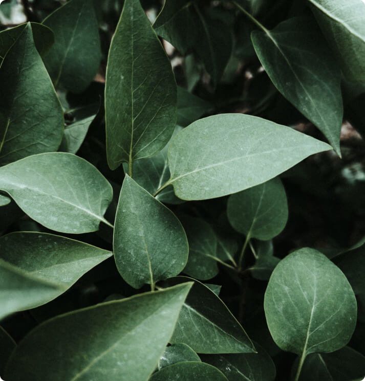 The Worst Advice We've Ever Heard About Web Design