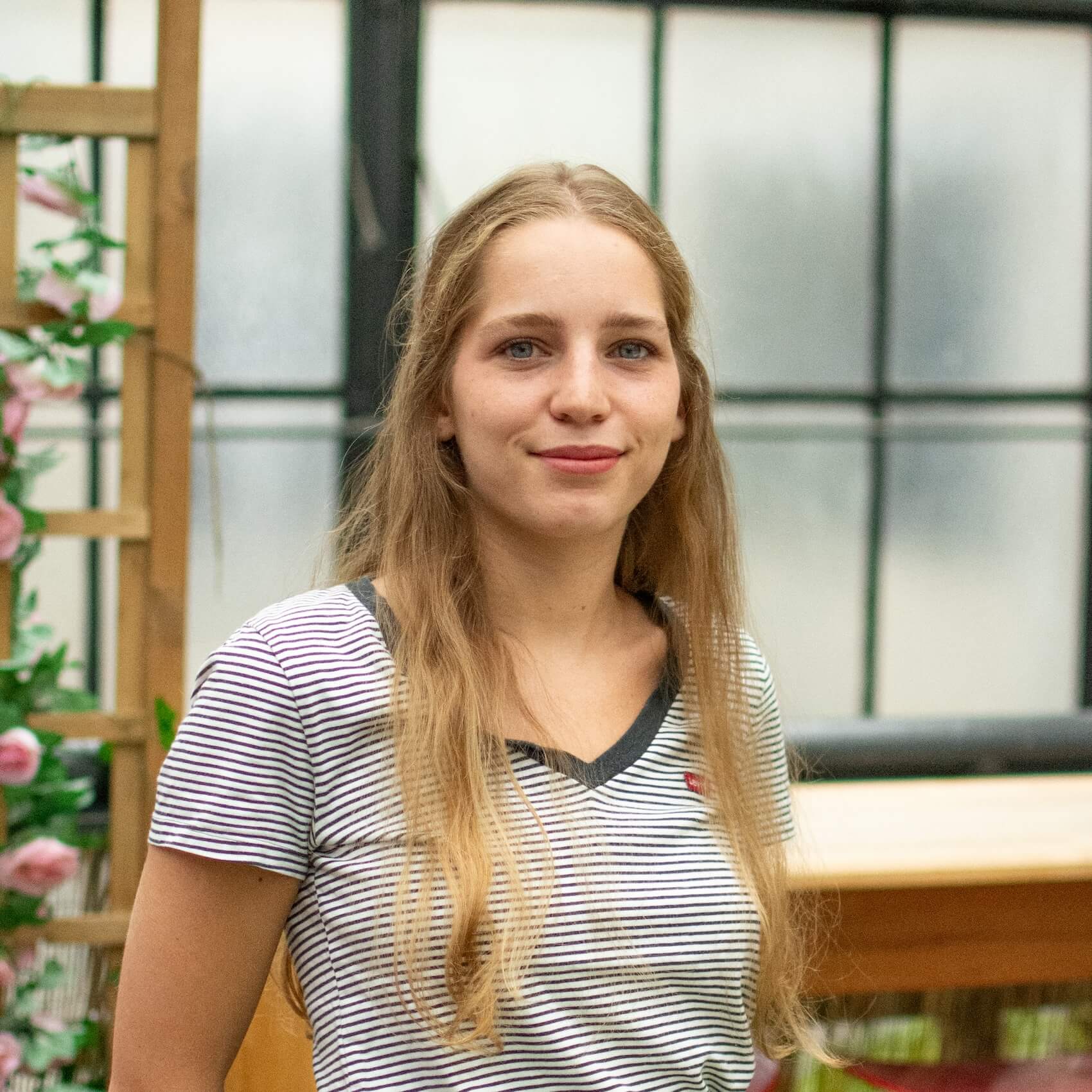 Angèle du Plessis