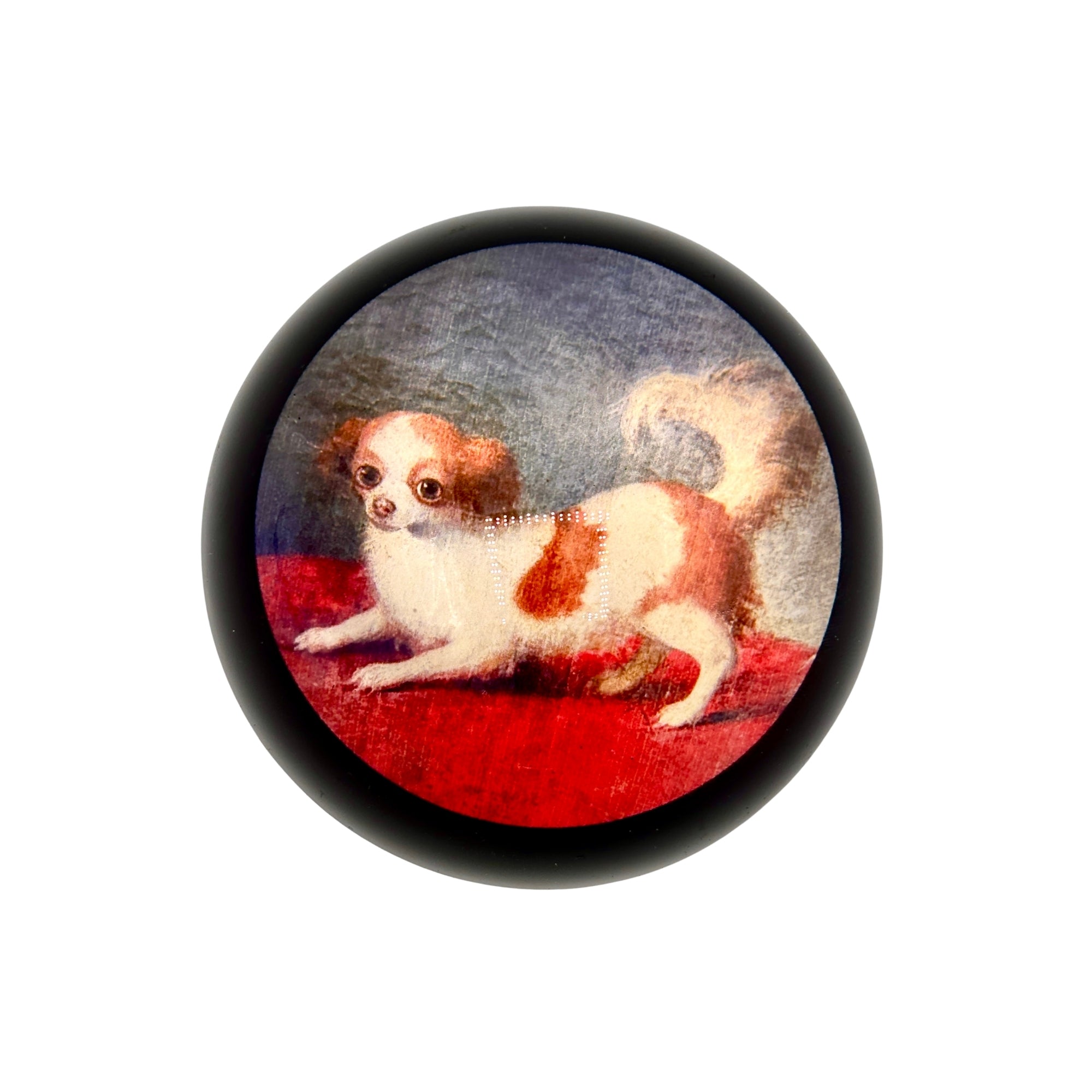 Grande hémimorphose ronde avec illustration de petit chien blanc et marron sur fond rouge et bleu