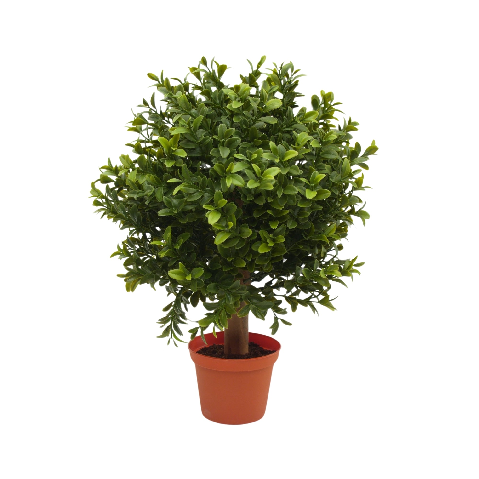 Buis artificiel en pot terracotta, feuillage vert dense et tronc central