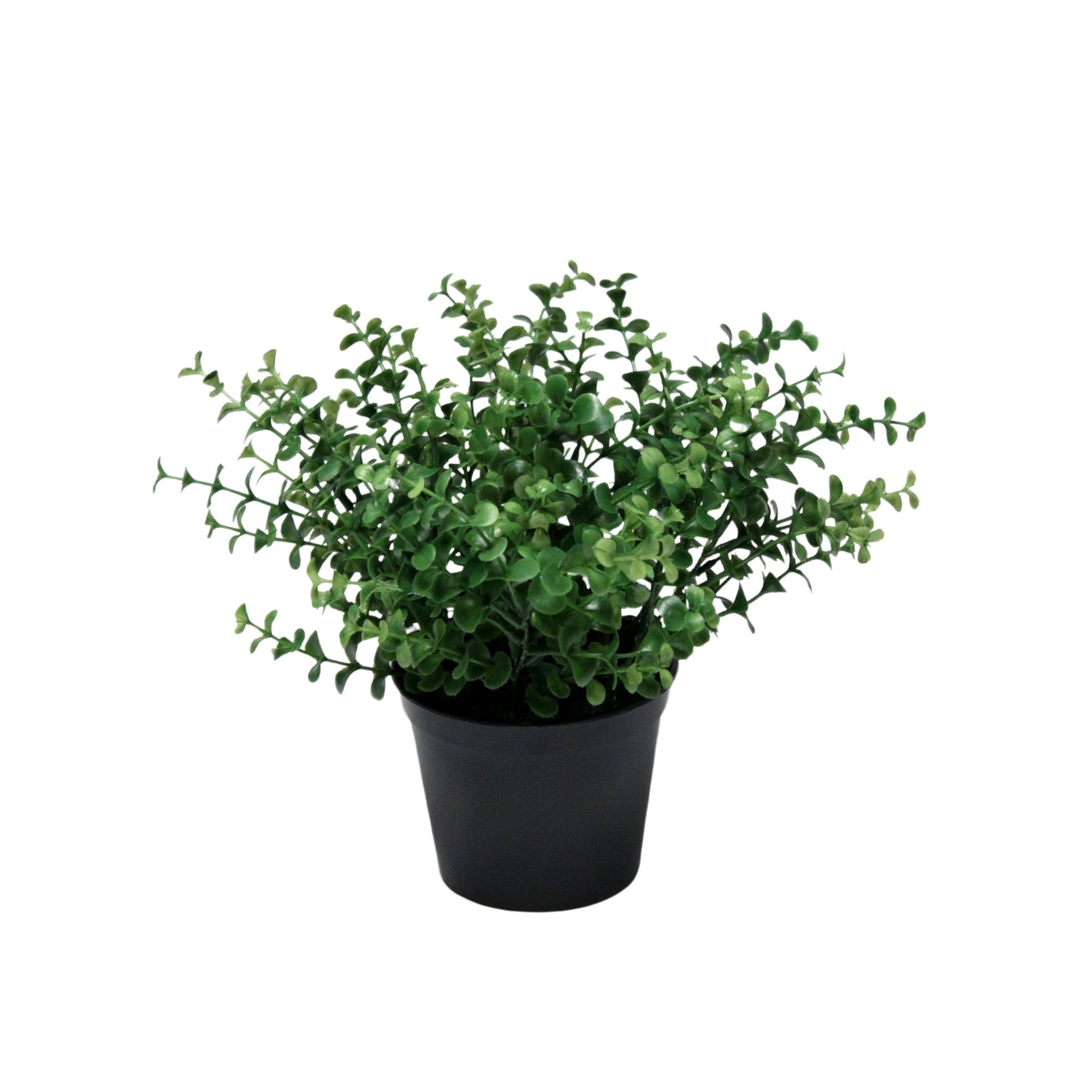 Eucalyptus artificiel en pot noir avec feuillage vert dense