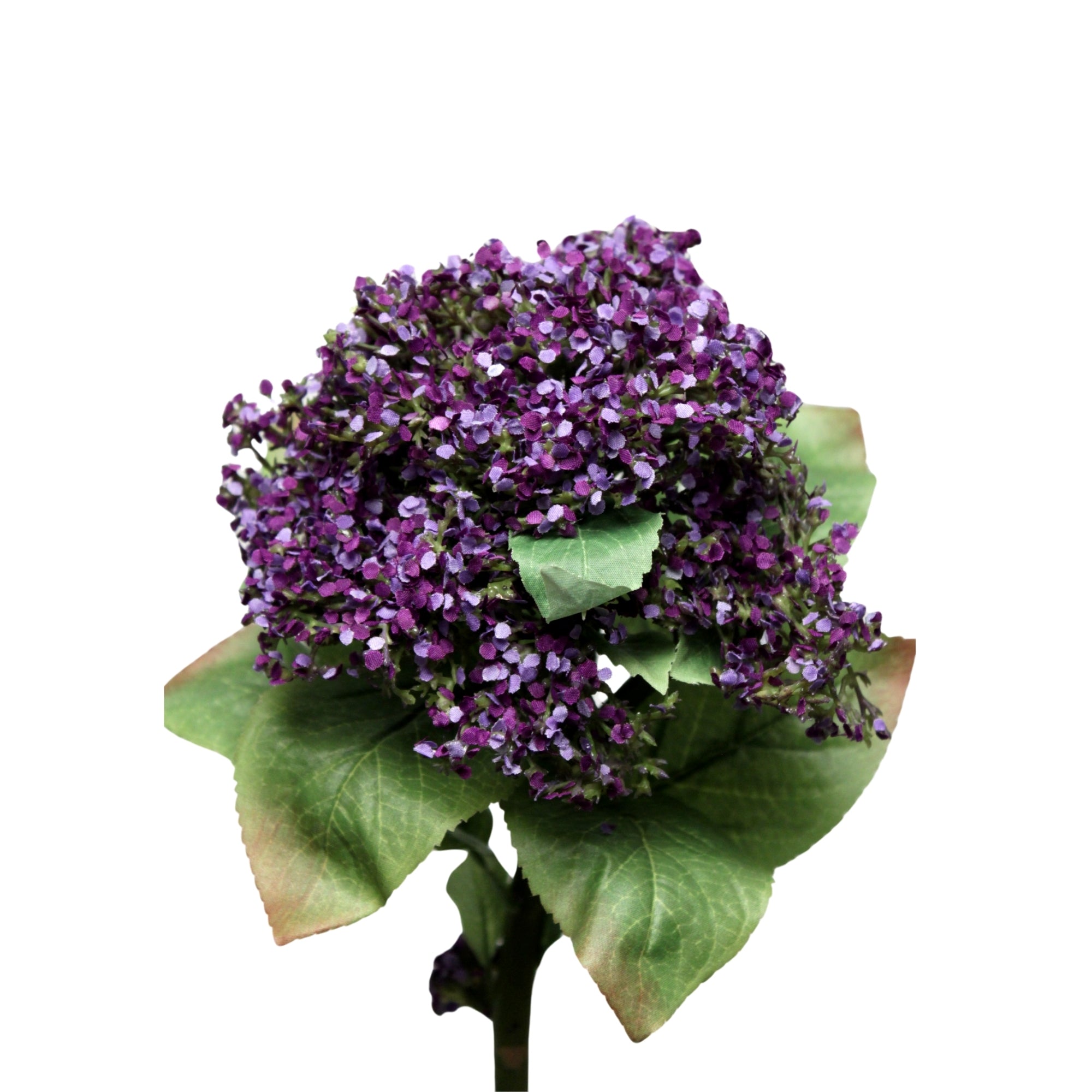 Hortensia artificiel pourpre à larges grappes de petites fleurs et feuilles vertes