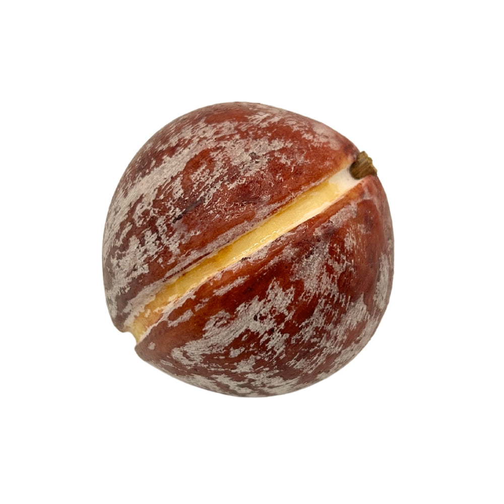 Prune décorative en marbre de Carrare brun rouge veiné, fendue et polie