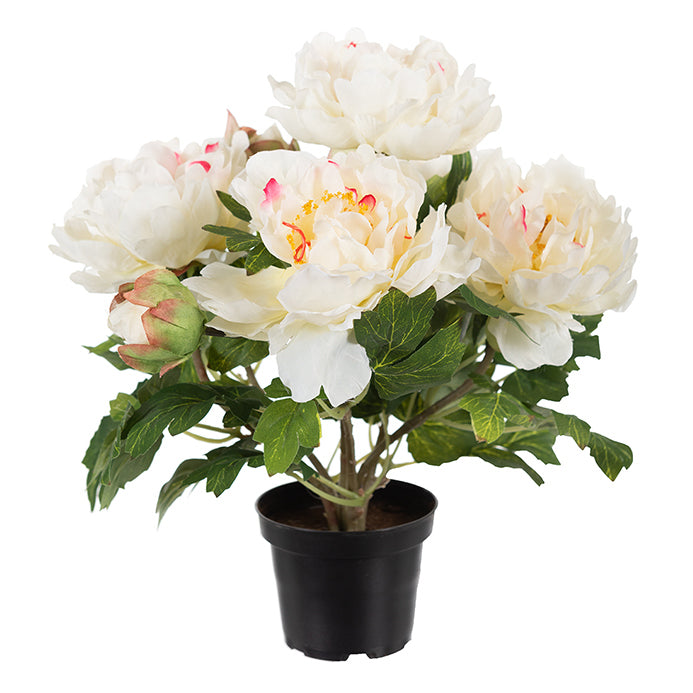 Pot de pivoines blanches artificielles en pot noir, feuillage vert
