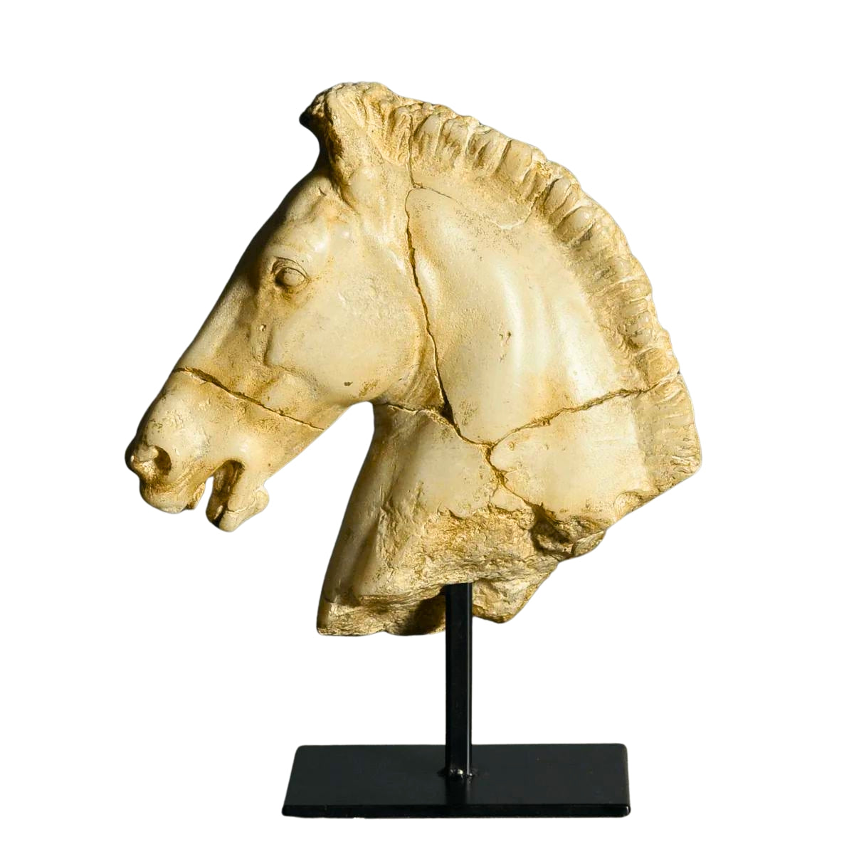 Tête de cheval fragmentée en composite ivoire patiné, montée sur socle noir