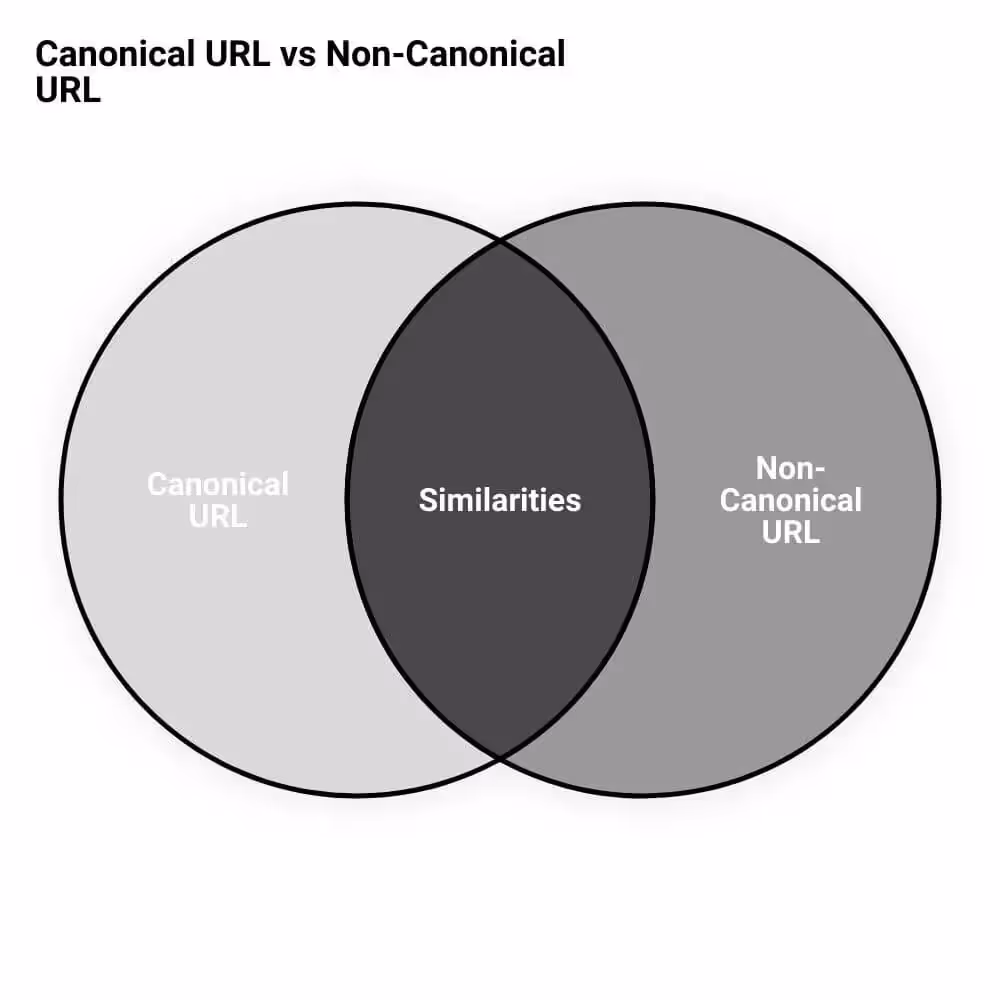 A vennuous vennuous vennuous vennuous vennuous