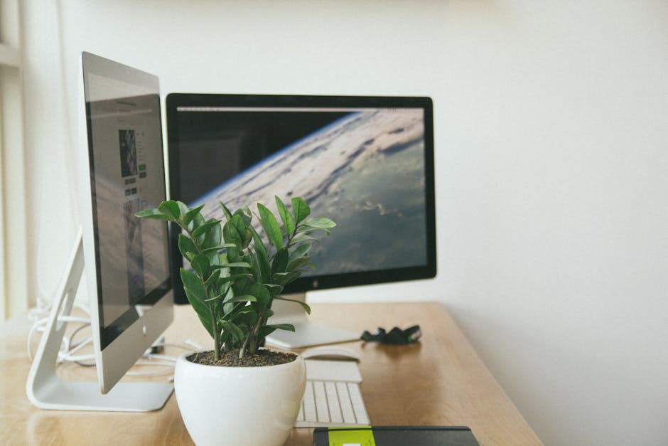 Shopify Domain Setup - shopify dkim