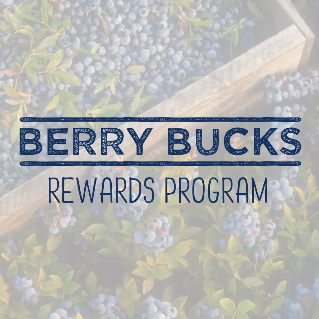 Berry Bucks Rewards Program logo with blueberry background