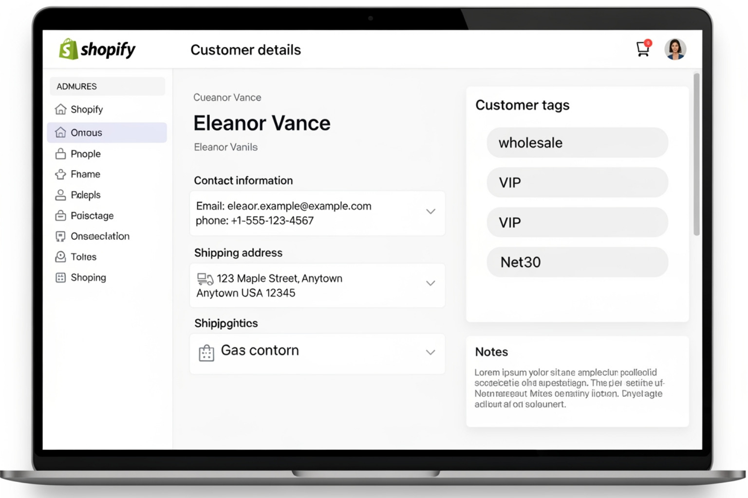 Shopify admin panel showing customer tags - Shopify wholesale portal