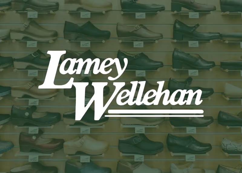 Emergency Shopify Migration for Lamey Wellehan