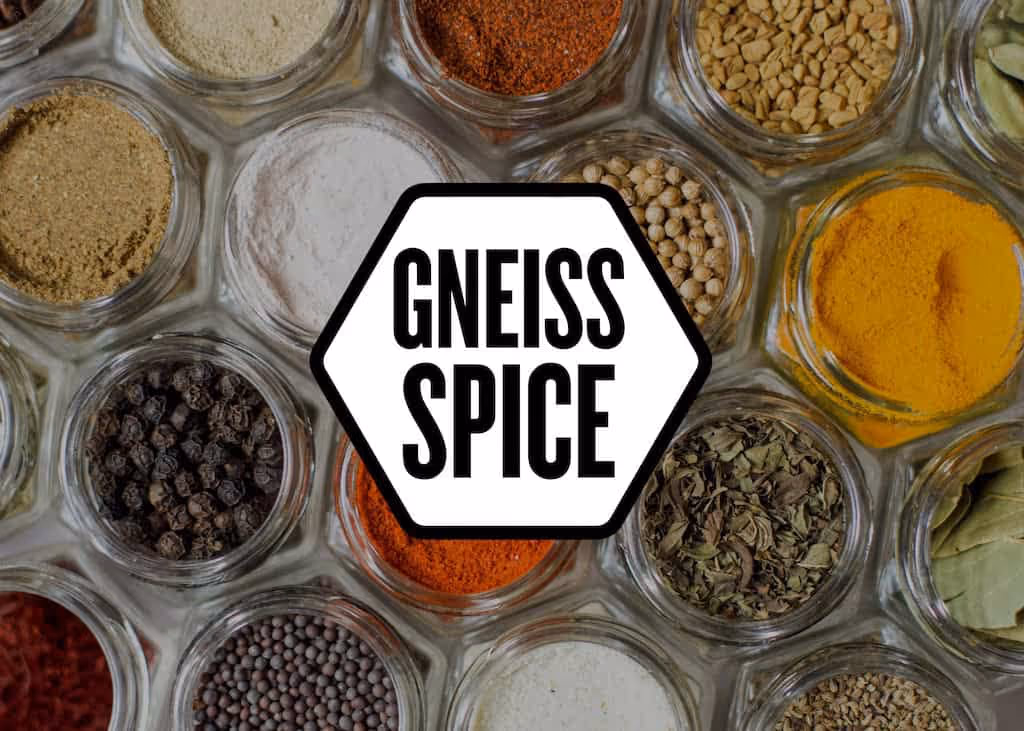 Gneiss Spice magnetic spice jars and organic seasonings styled for a performance marketing campaign