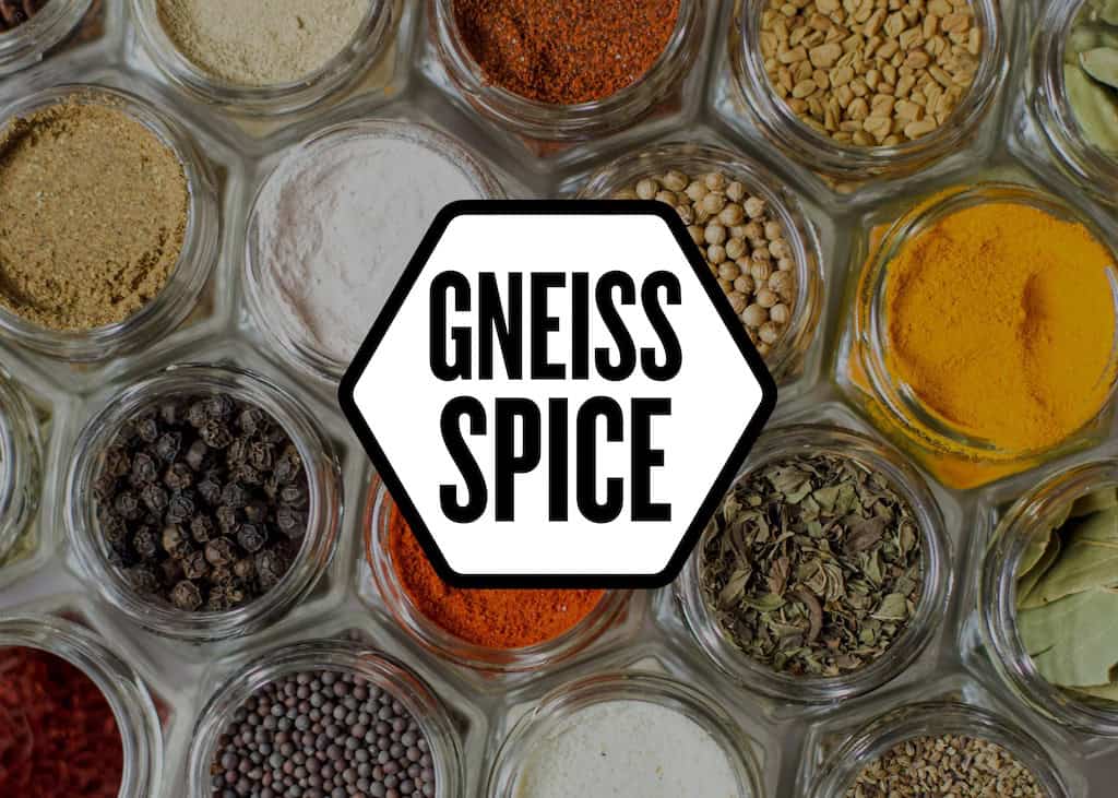 Gneiss Spice magnetic spice jars and organic seasonings styled for a performance marketing campaign