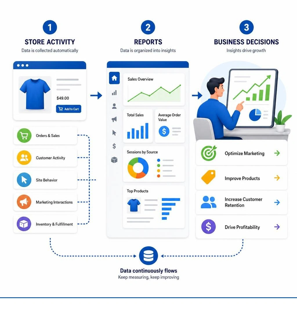 Shopify analytics data flow from store activity to reports to business decisions infographic infographic Shopify analytics data flow from store activity to reports to business decisions infographic infographic