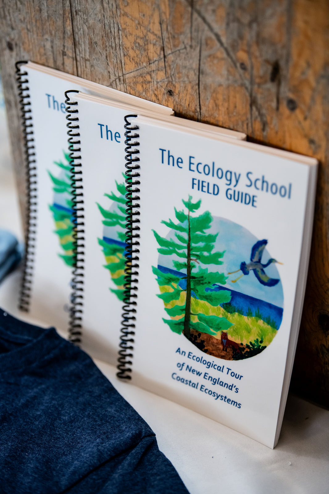 Copies of The Ecology School Field Guide to New England's coastal ecosystems, one of the school's own published titles