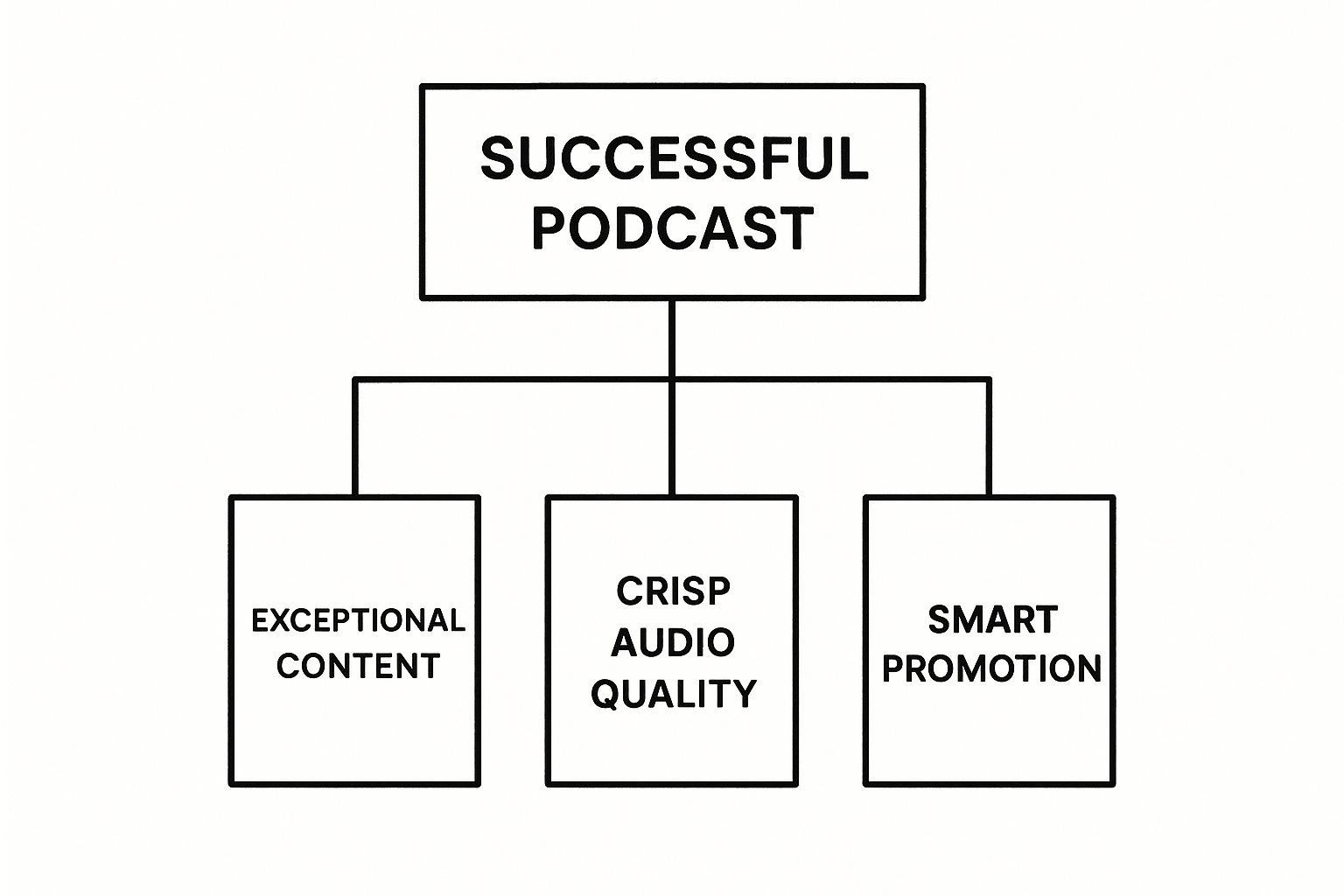 Infographic about what makes a podcast successful