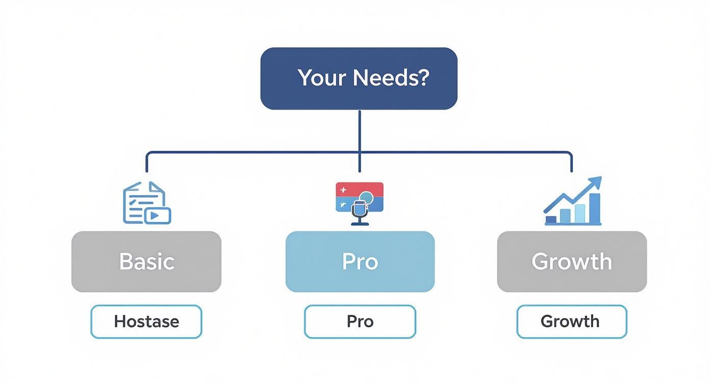 A flowchart asking 'Your Needs?' showing three service plans: Basic, Pro, and Growth, with icons.