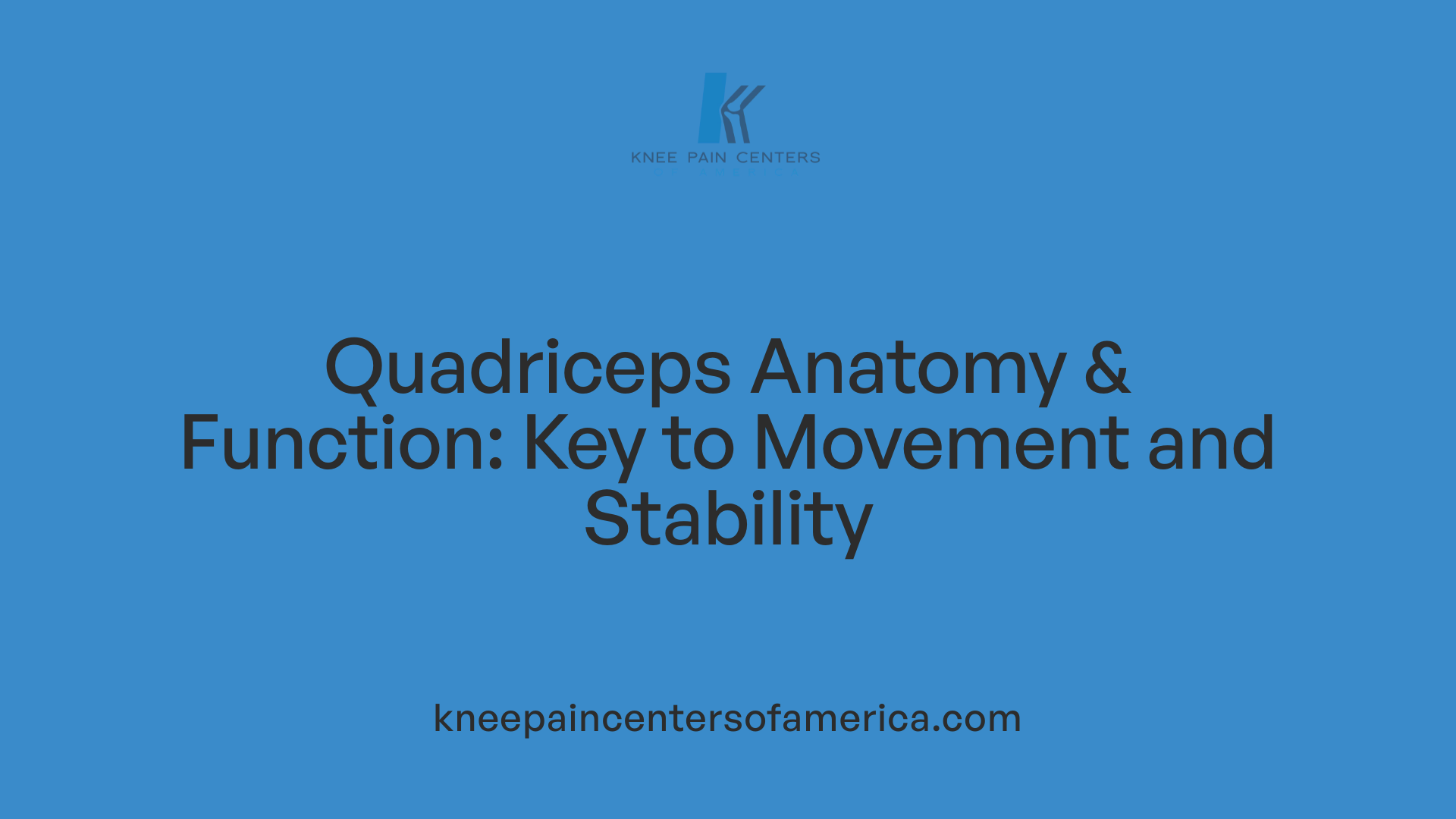 Quadriceps Anatomy & Function: Key to Movement and Stability