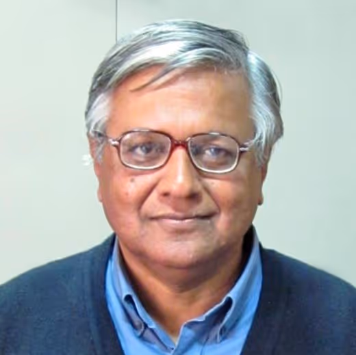 Partha Sen Delhi School of Economics SERC Singapore Economic Review Conference NTU Singapore 2024 SitesGo Website