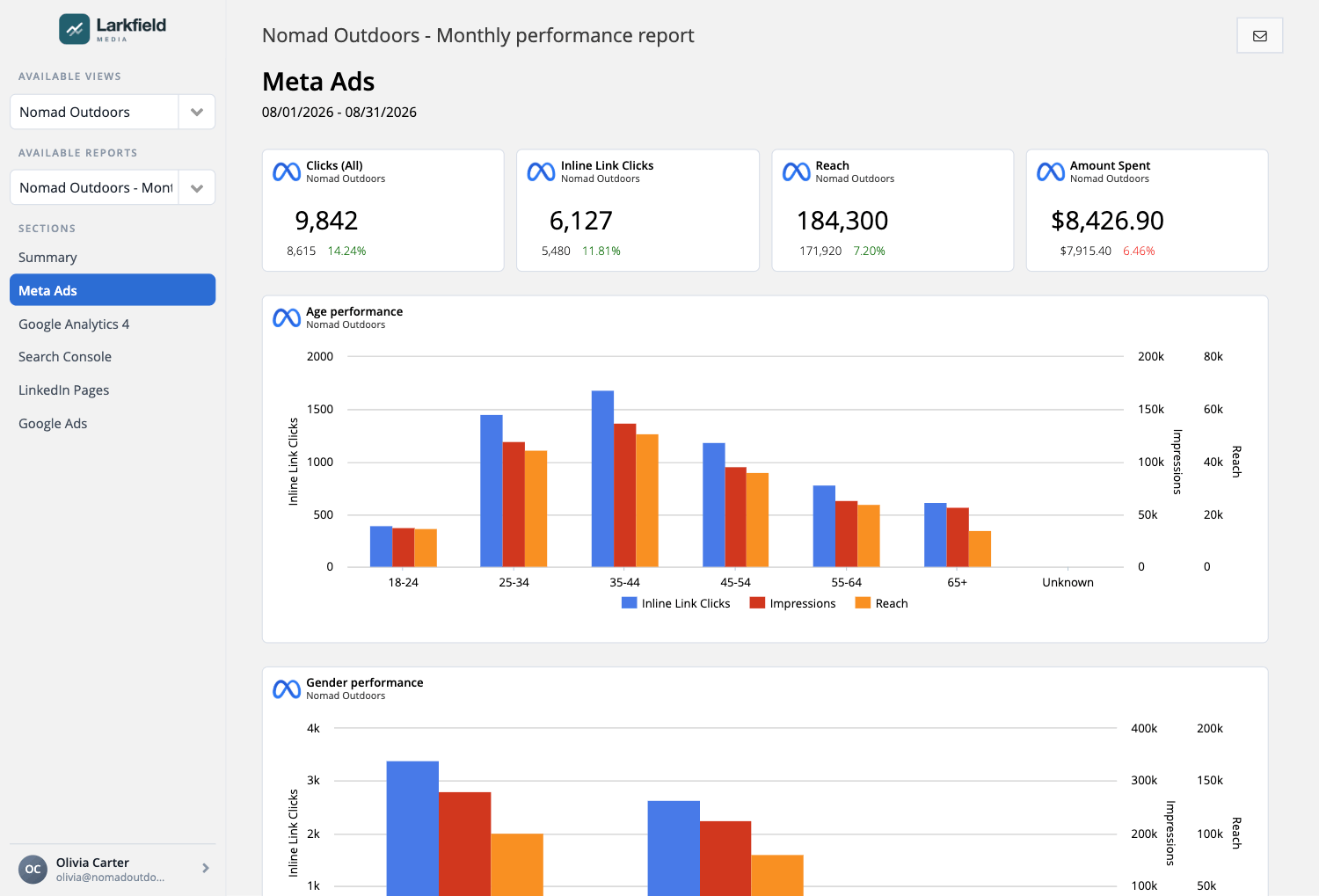 Reporting NInja client portal
