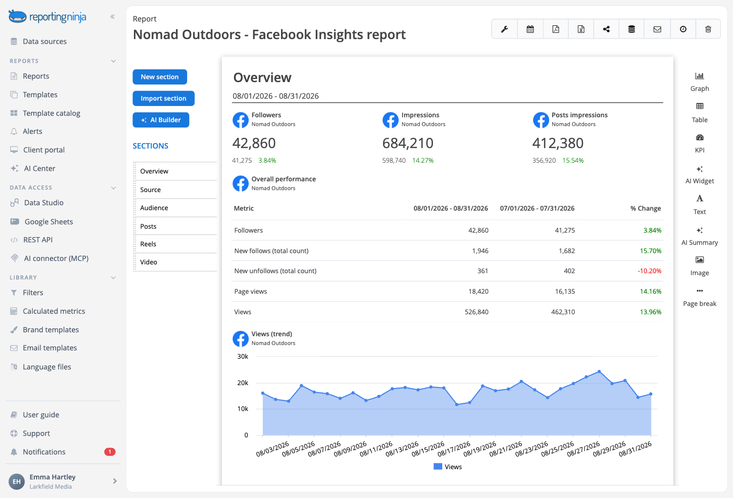 Facebook Insights template